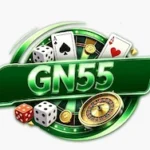 GN55 Game